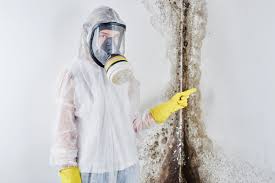 Best Mold Removal for HVAC Installations  in Ocala Estates, FL